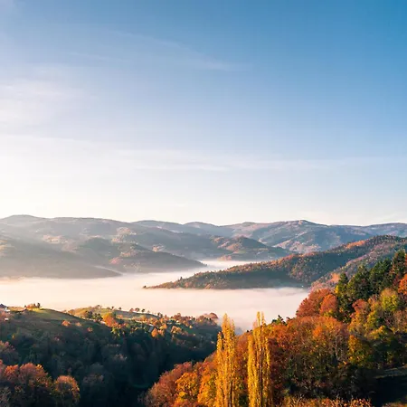 Restaurant Roess 3* Hohrod