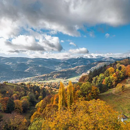 Restaurant Roess Hotel 3*