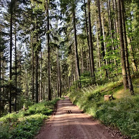 Restaurant Roess Hohrod