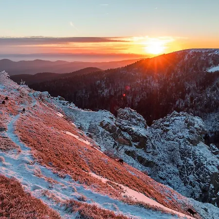 Restaurant Roess Hotel 3*